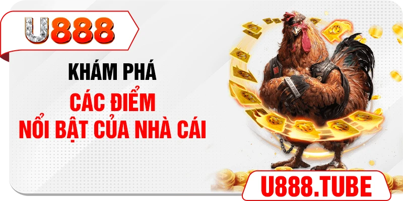 Khám phá các điểm nổi bật của nhà cái